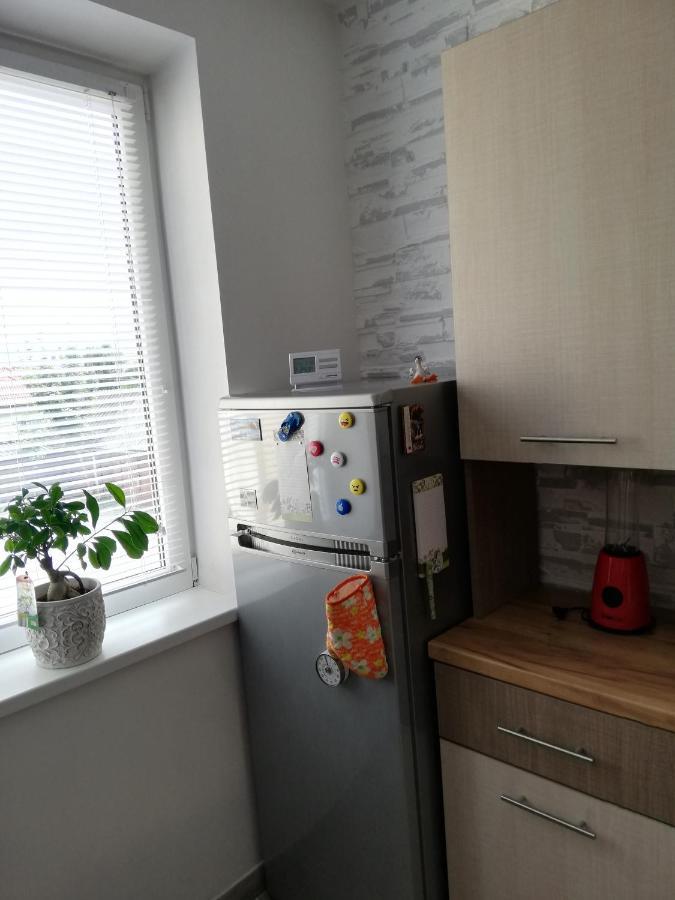 Apartament Raluca Topliţa 外观 照片
