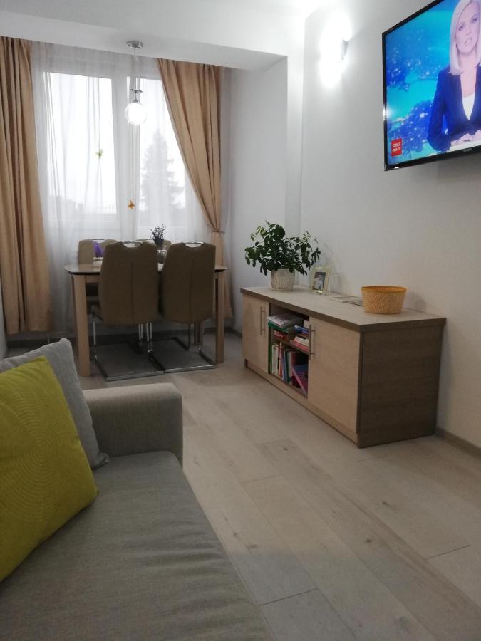 Apartament Raluca Topliţa 外观 照片