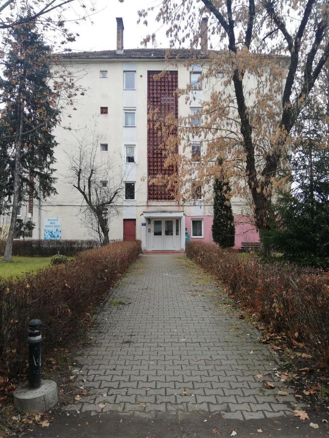 Apartament Raluca Topliţa 外观 照片